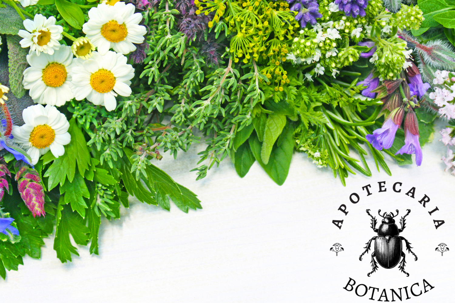 Herbs Blend & Teas