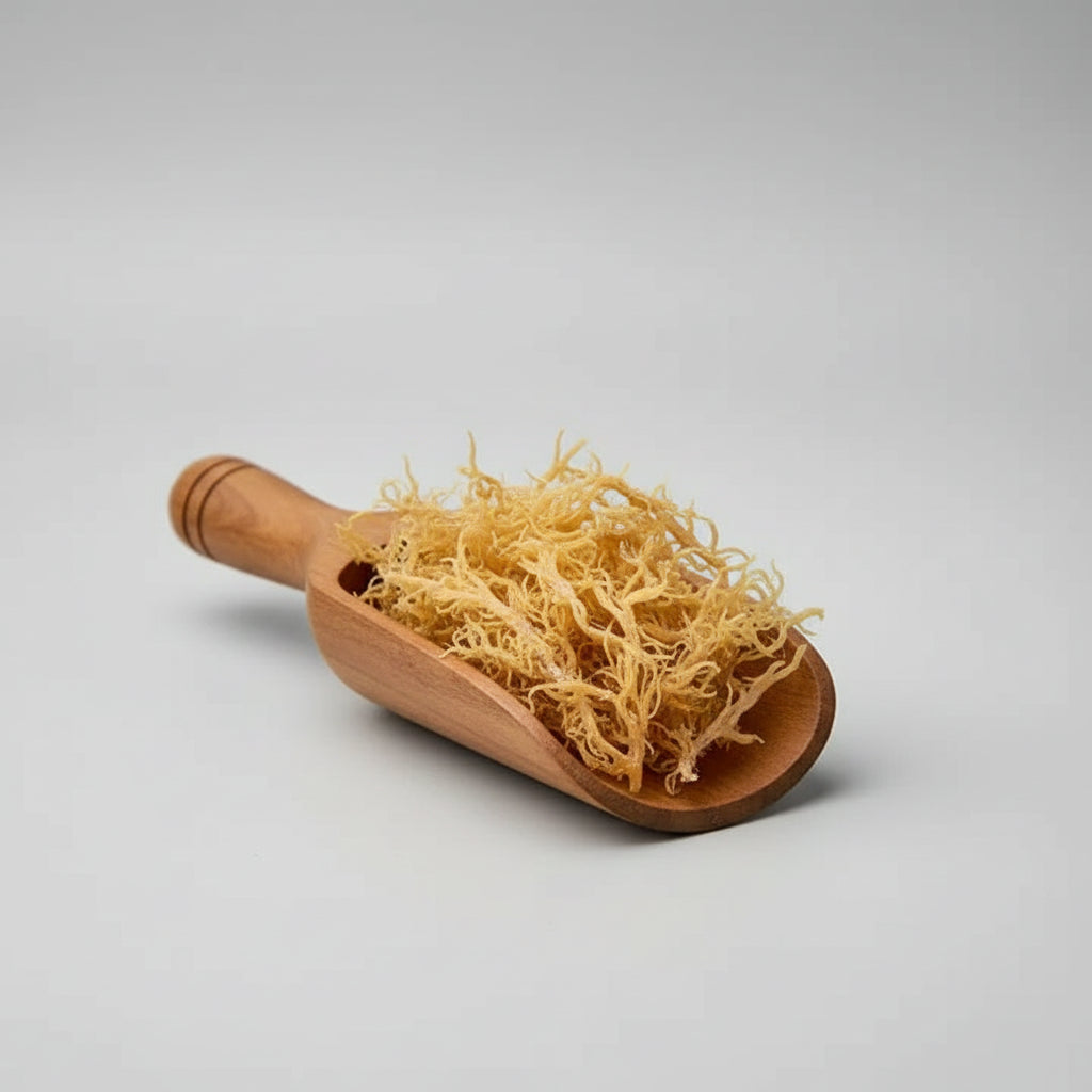 Wildcrafted Raw Gold Sea Moss 8oz