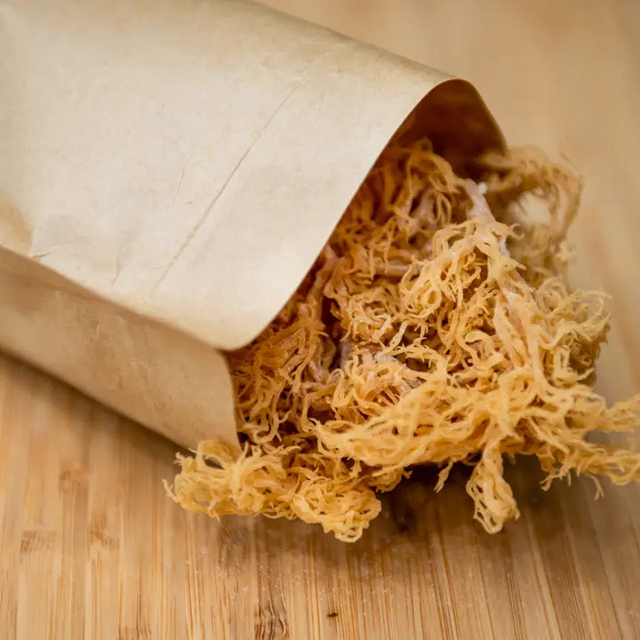 Wildcrafted Raw Gold Sea Moss 8oz